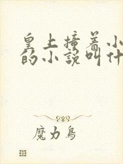 皇上撞着小公主的小说叫什么