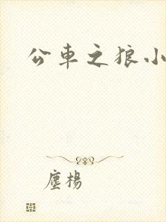 公车之狼小说