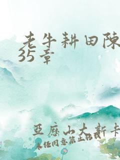 老牛耕田陈雪435章