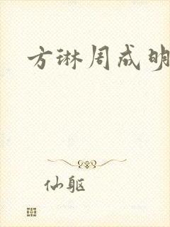方琳周成明小说