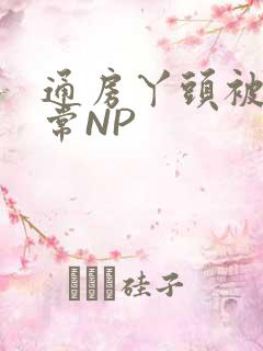 通房丫头被肉日常NP