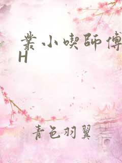 丛小吃师傅的HH