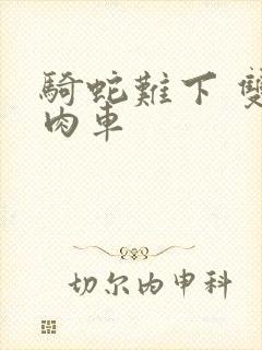 骑蛇难下 双 肉车