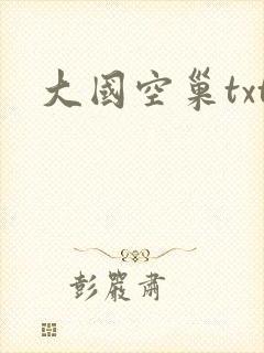 大国空巢txt