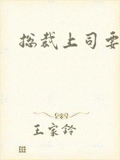 总裁上司要偷心