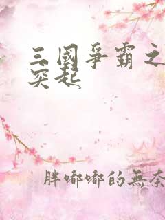 三国争霸之异军突起