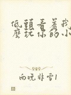 低头看着我是怎么玩你的小说