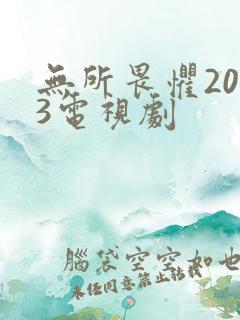 无所畏惧2023电视剧