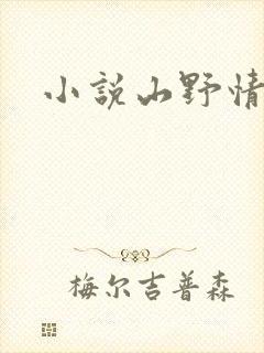 小说山野情债