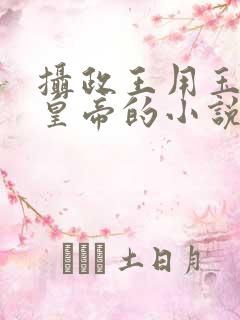 摄政王用玉髓整皇帝的小说