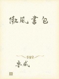 傲风书包