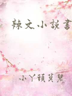 辣文小说书包网