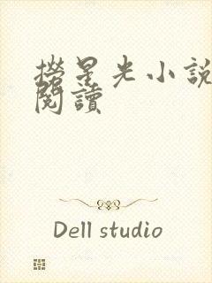 捞星光小说免费阅读