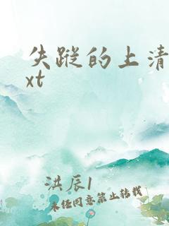 失踪的上清寺txt