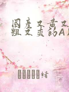 国产又黄又猛又粗又爽的A片小说