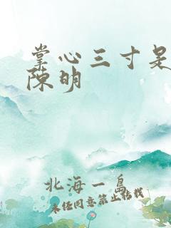 掌心三寸是人间陈明