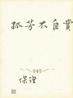 孤芳不自赏小说