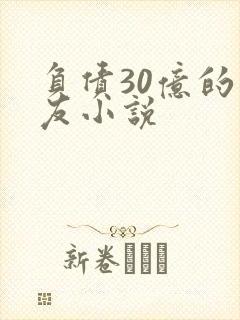 负债30亿的男友小说