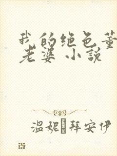 我的绝色董事长老婆 小说