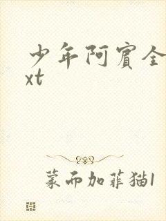 少年阿宾全集txt