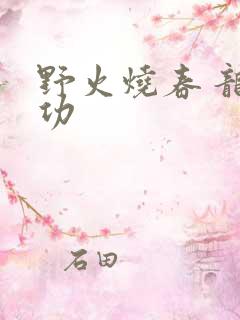 野火烧春 龙鸣功