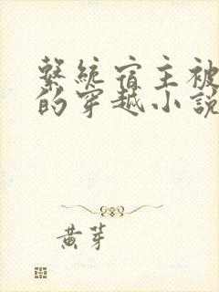 系统宿主被浇灌的穿越小说