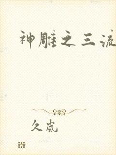 神雕之三流