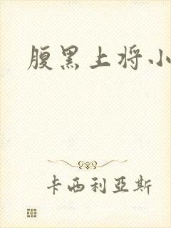 腹黑上将小小妻