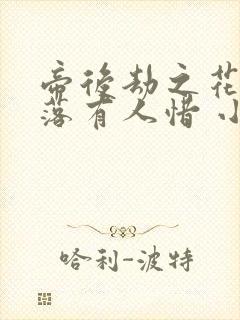 帝后劫之花开花落有人惜 小说