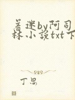 着迷by阿司匹林小说txt下载