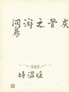 网游之骨灰级菜鸟