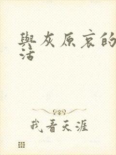 与灰原哀的h生活