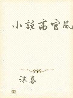 小说高官风流