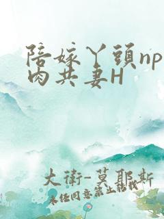 陪嫁丫头np全肉共妻H
