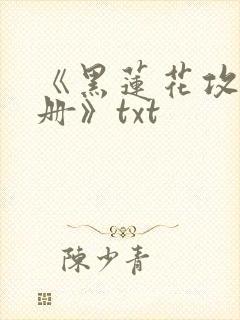 《黑莲花攻略手册》txt