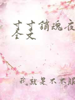 寸寸销魂夜春光全文