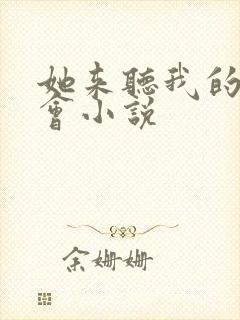 她来听我的演唱会小说