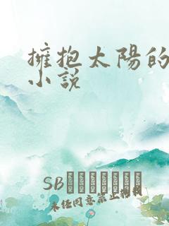 拥抱太阳的月亮小说