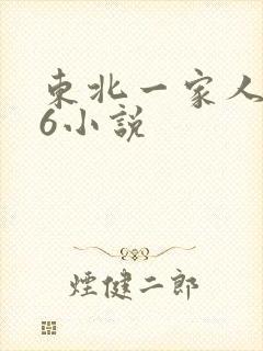东北一家人1一6小说
