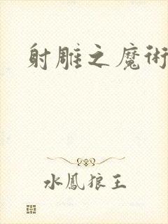 射雕之魔术师