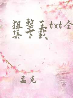 狙击王txt全集下载