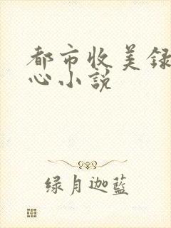 都市收美录宁素心小说