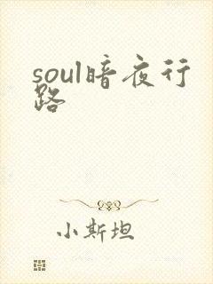 soul暗夜行路