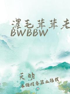浓毛茸茸老太BBWBBW