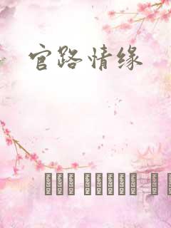 官路情缘