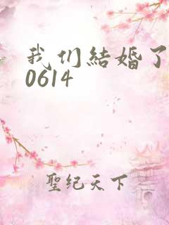 我们结婚了130614