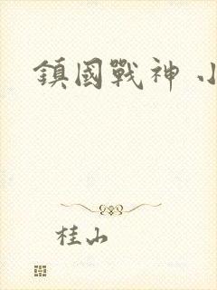 镇国战神 小说