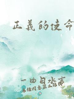 正义的使命小说