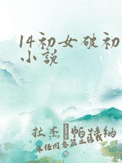 14初女破初的小说