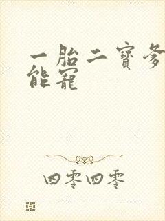 一胎二宝爹地超能宠